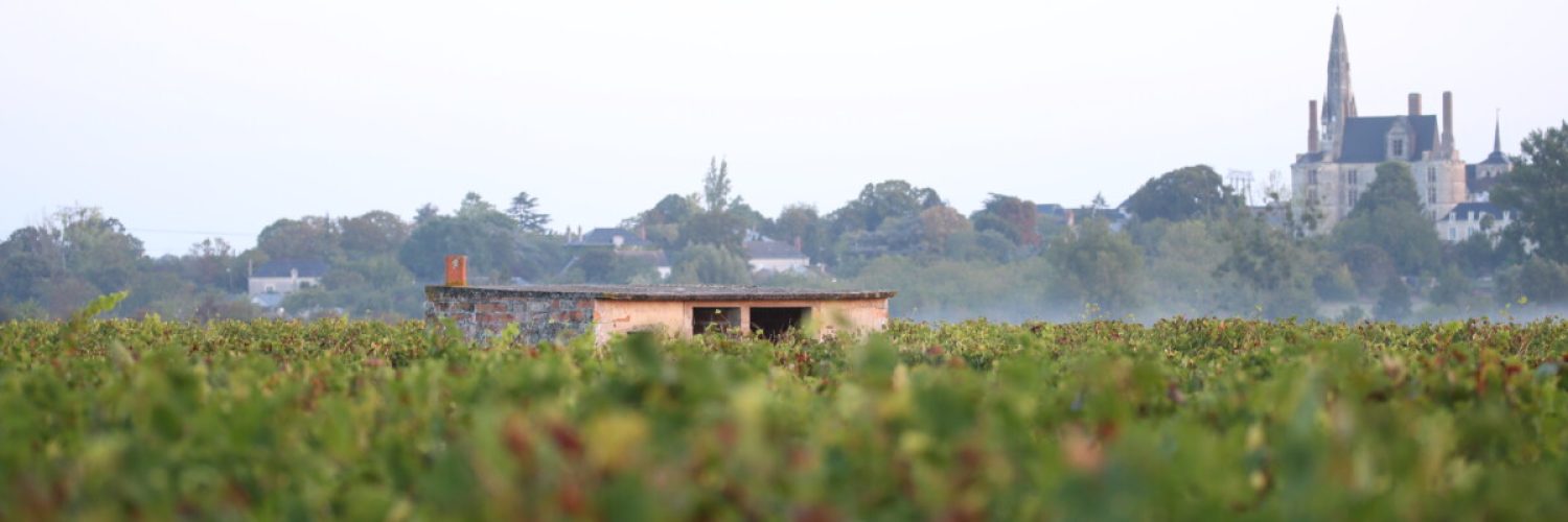 Chteau de la CalonniereSeptembre 23/24 /25  Septembre 2023