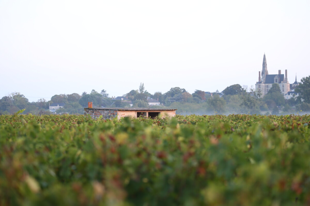 Chteau de la Calonniere
Septembre 23/24 /25 Septembre 2023