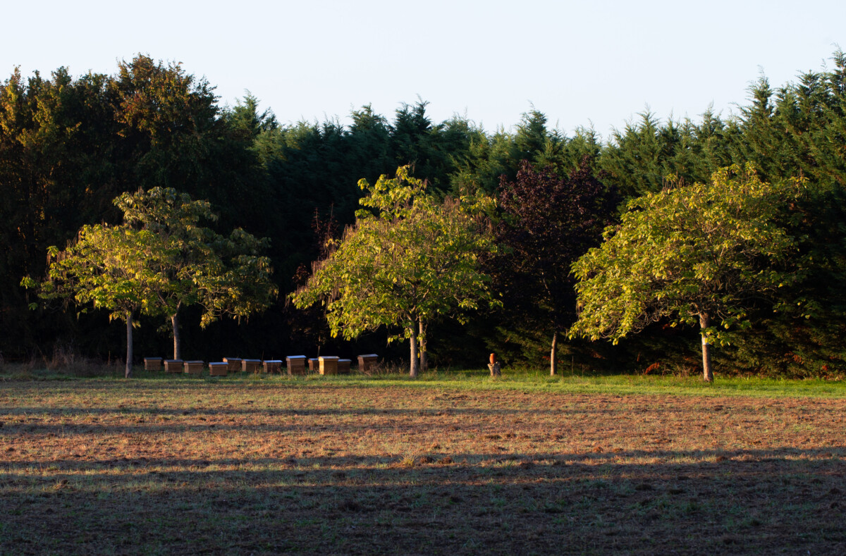 Château de la Calonniere
Septembre 23/24 /25 Septembre 2023
