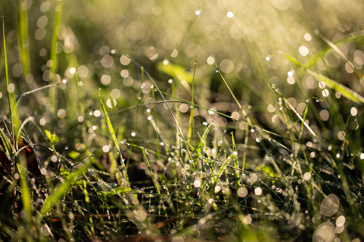 Château de la Calonniere
Septembre 23/24 /25  Septembre 2023